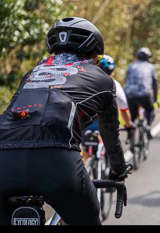 DRAGON MEN'S LONG SLEEVE JERSEY