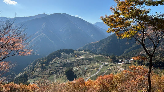 岐阜のマチュピチュへ！